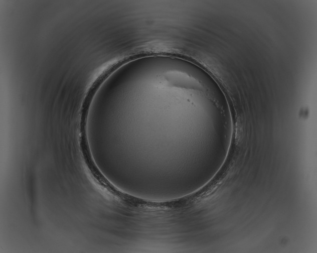 X0000093610438200710221610
