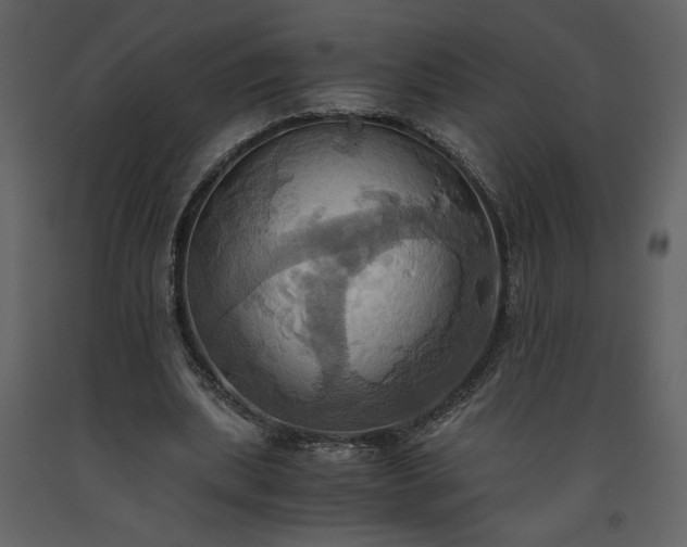 X0000093610439200710221610