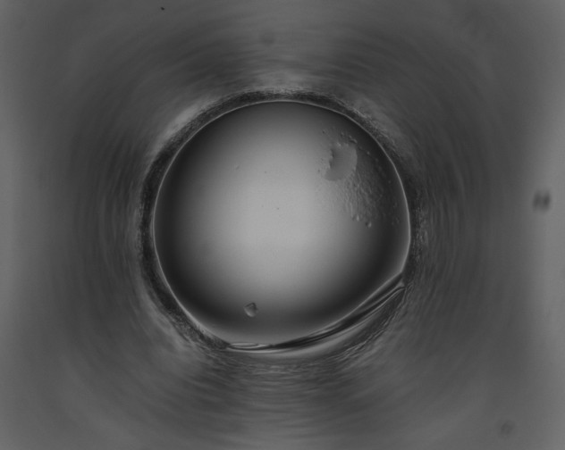 X0000093610440200710221610