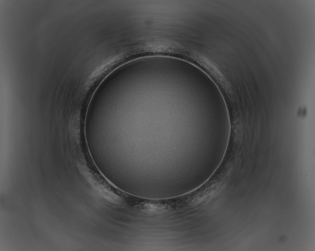 X0000093610442200710221610