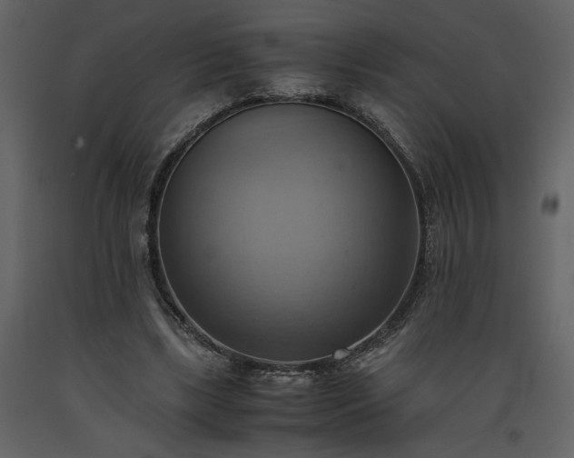 X0000093610443200710221610