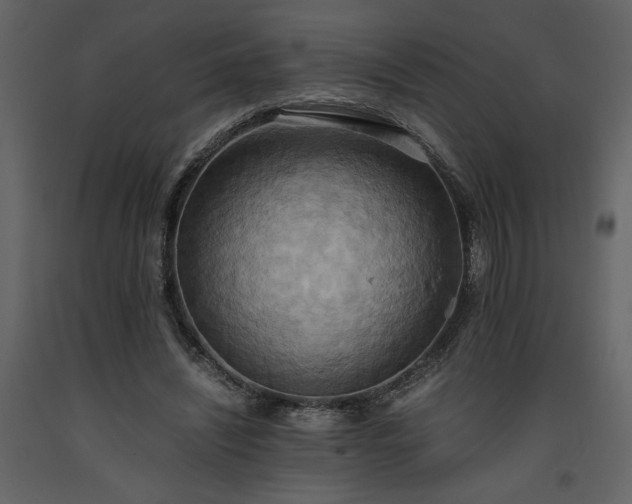 X0000093610444200710221610