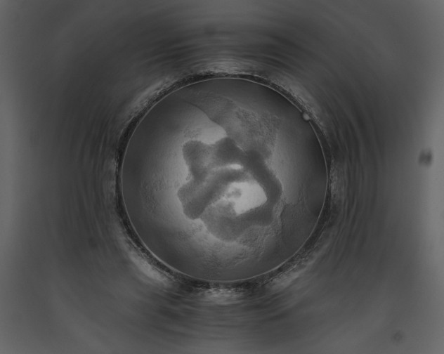 X0000093610445200710221610
