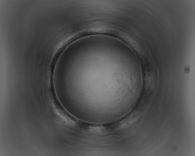 X0000093610446200710221610