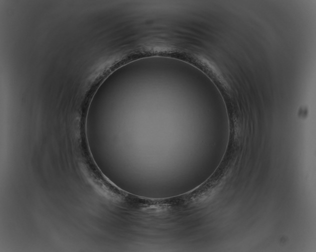 X0000093610447200710221610