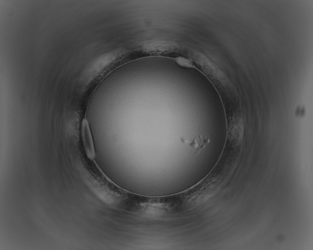 X0000093610448200710221610