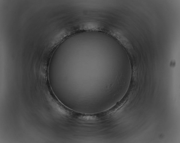 X0000093610449200710221610