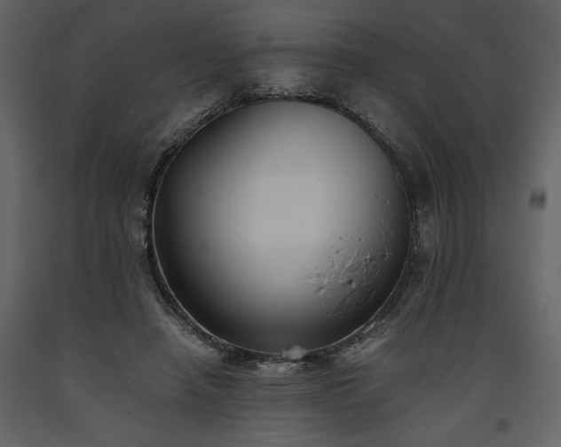 X0000093610450200710221610