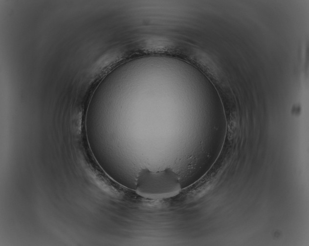 X0000093610454200710221610