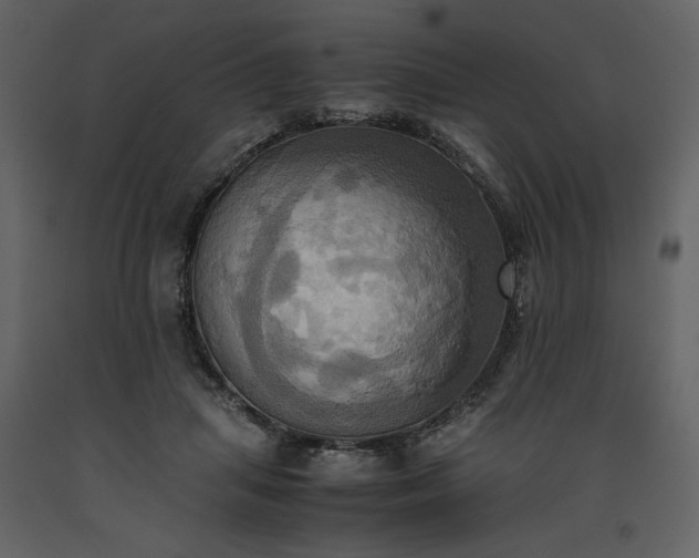X0000093610455200710221610
