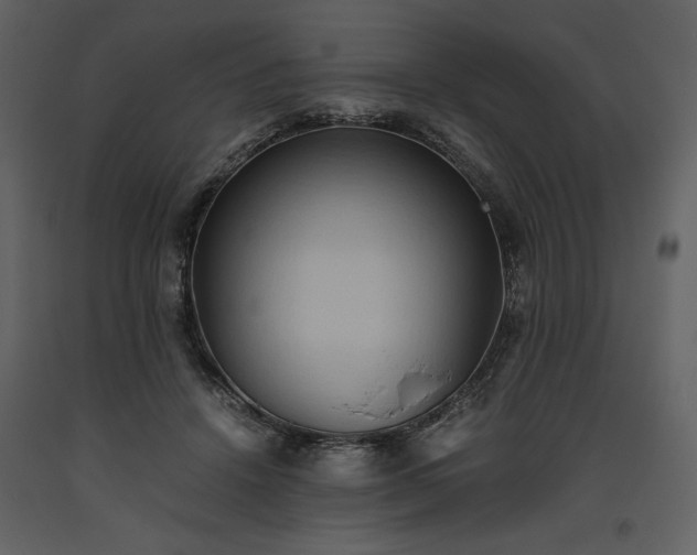 X0000093610456200710221610