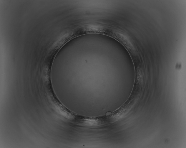 X0000093610457200710221610
