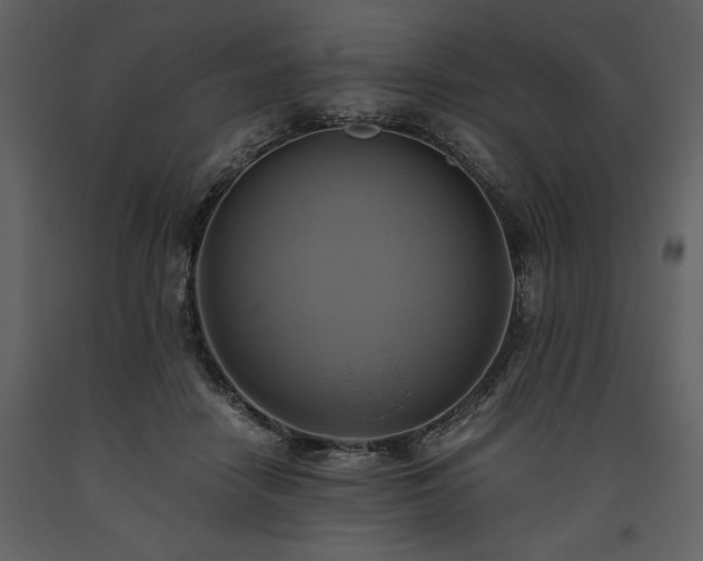X0000093610458200710221610
