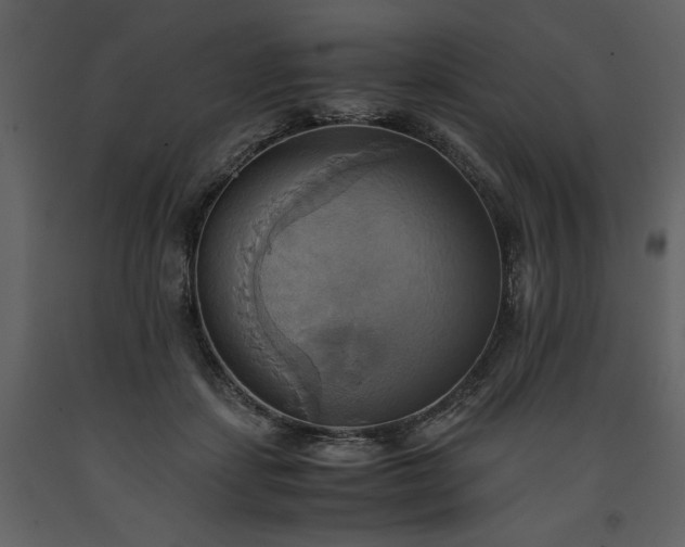 X0000093610459200710221610