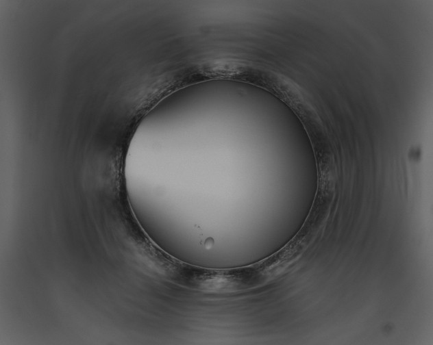 X0000093610460200710221611