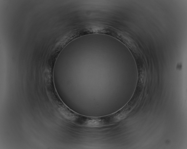 X0000093610461200710221611