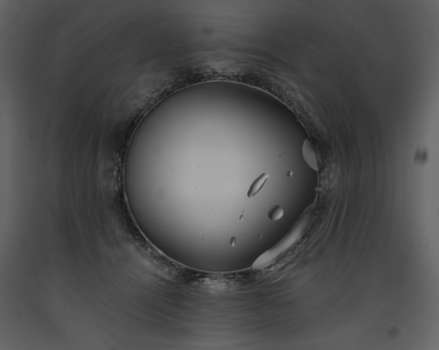 X0000093610464200710221611