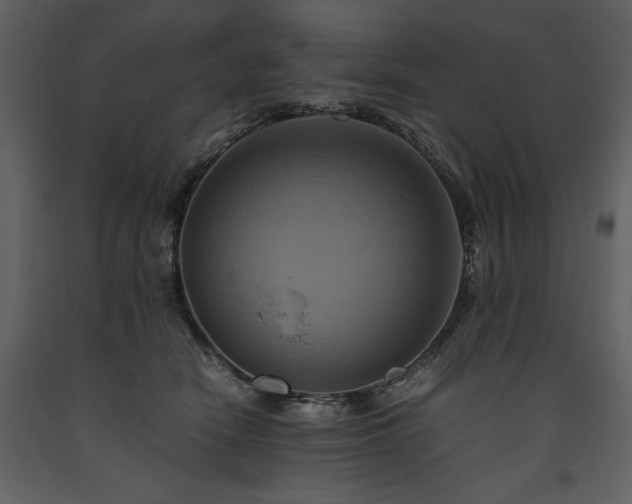 X0000093610466200710221611
