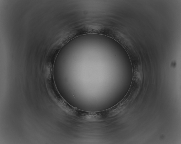 X0000093610468200710221611