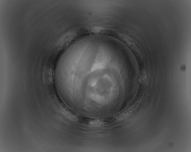 X0000093610470200710221611