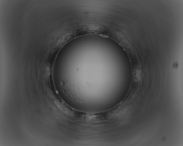 X0000093610472200710221611