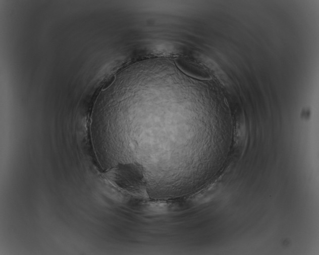 X0000093610473200710221611