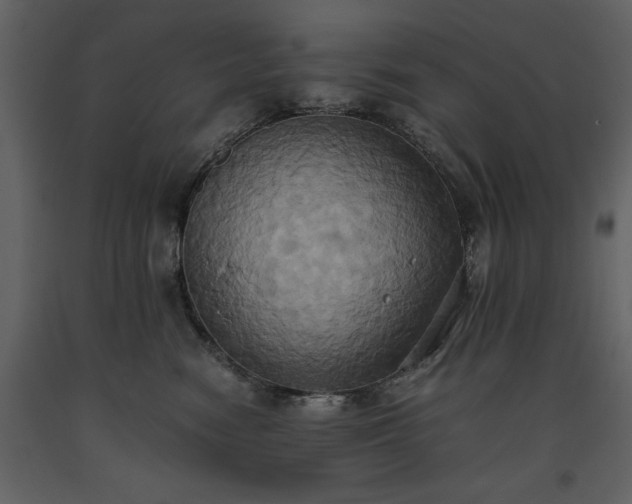 X0000093610474200710221611