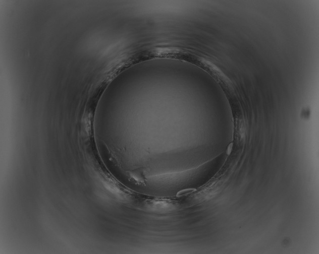 X0000093610475200710221611