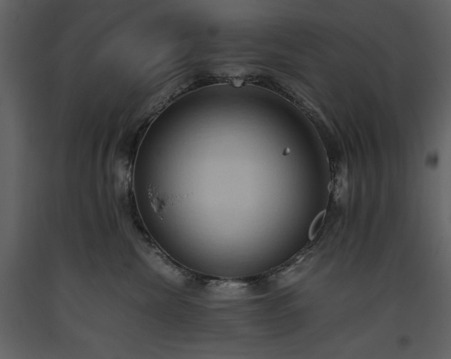 X0000093610476200710221611