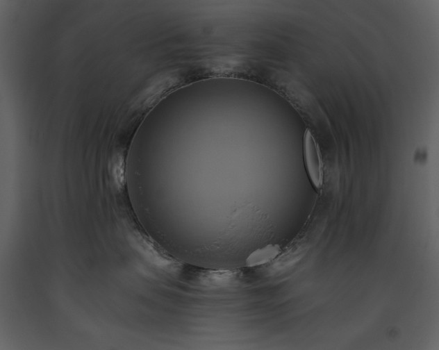 X0000093610479200710221611