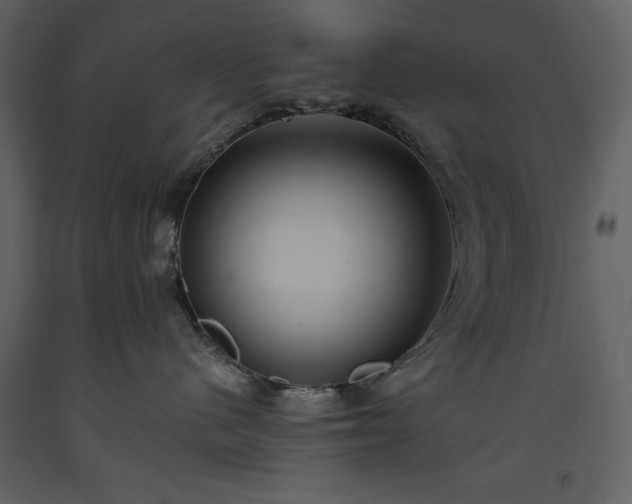 X0000093610480200710221611