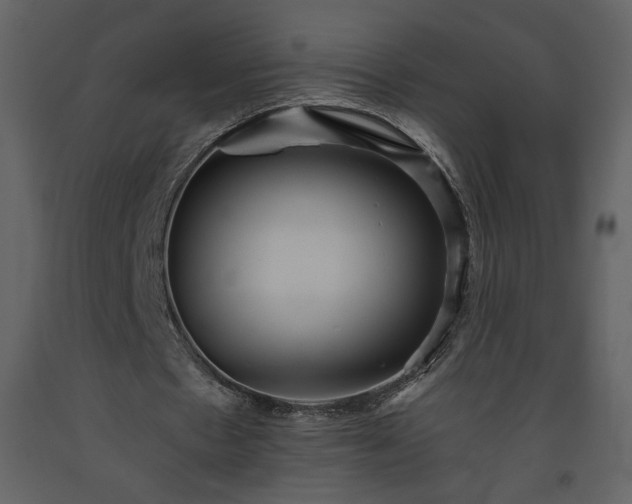 X0000093610481200710221610