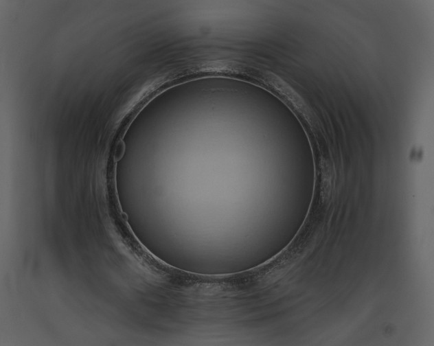 X0000093610482200710221610