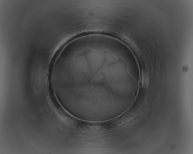 X0000093610483200710221610
