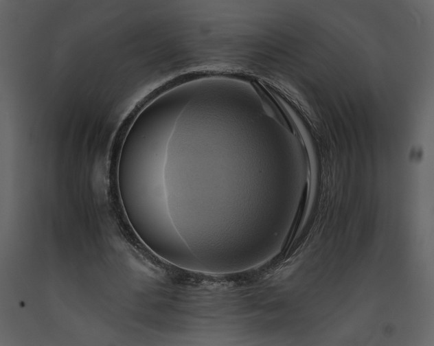 X0000093610484200710221610