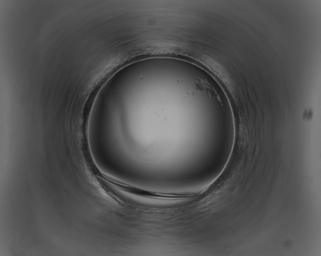 X0000093610485200710221610
