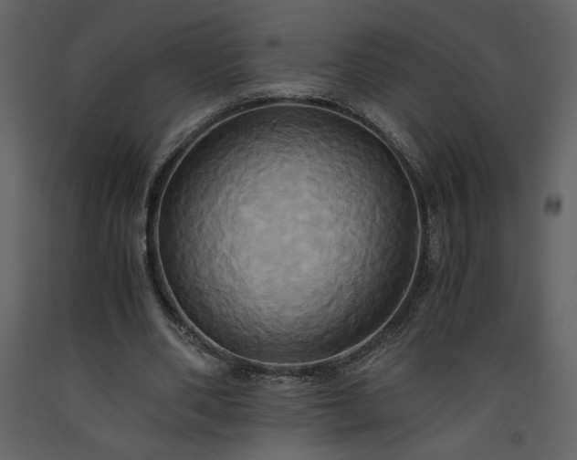 X0000093610486200710221610
