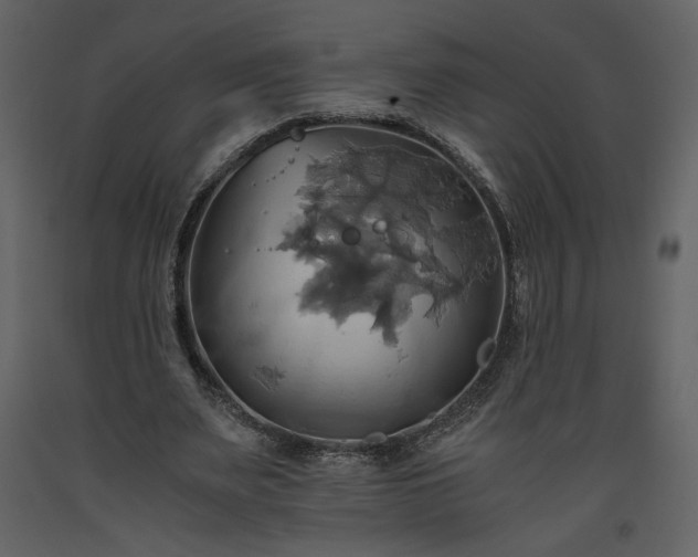 X0000093610487200710221610