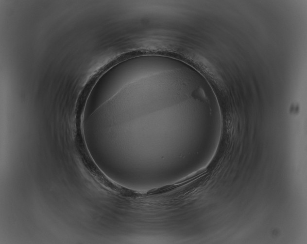X0000093610488200710221610