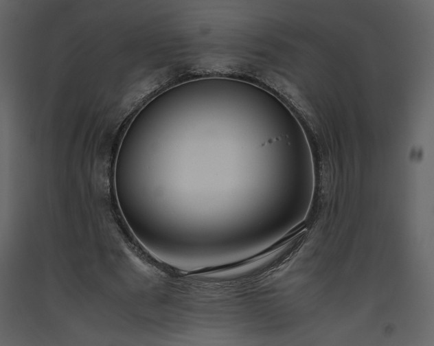 X0000093610489200710221610
