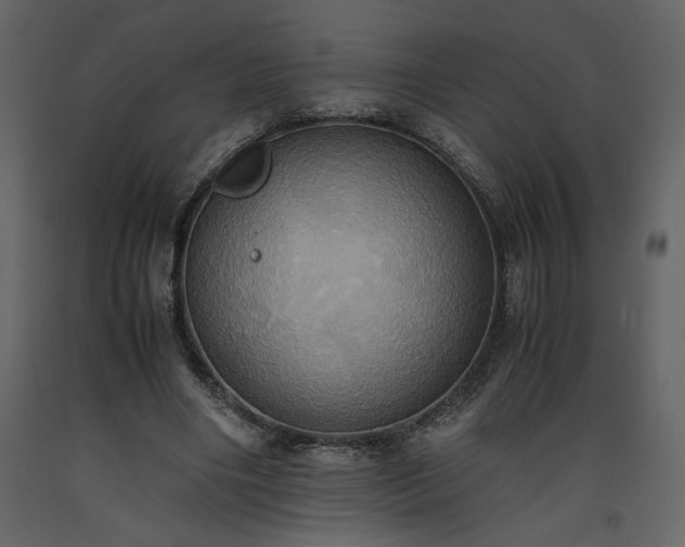 X0000093610490200710221610