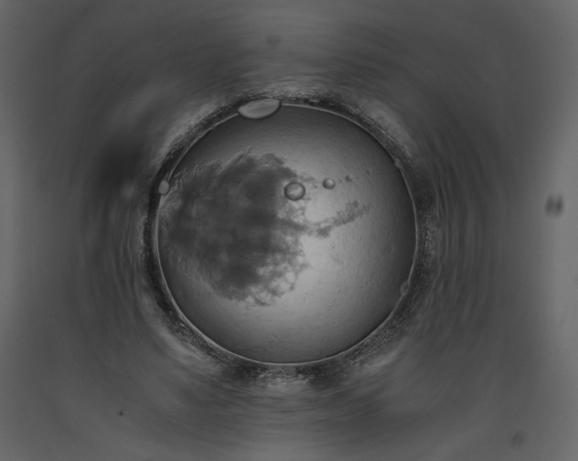 X0000093610491200710221610