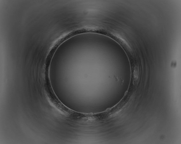 X0000093610492200710221610