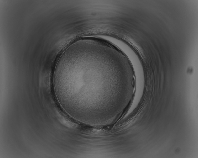X0000093610493200710221610