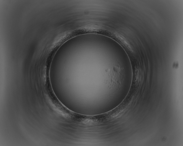 X0000093610494200710221610