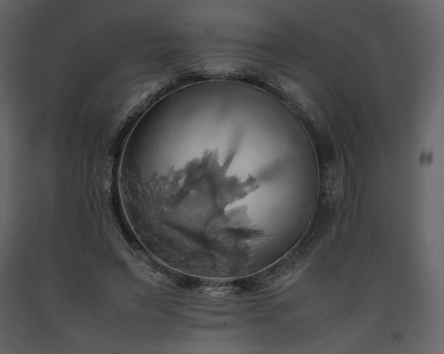 X0000093610495200710221610