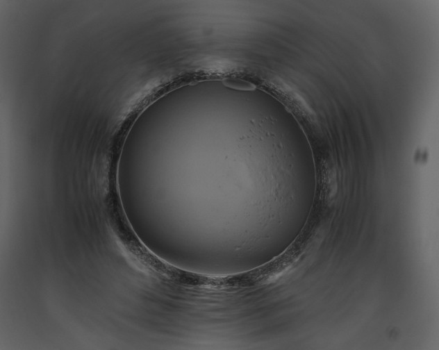 X0000093610496200710221610