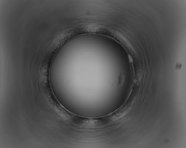 X0000093610497200710221610