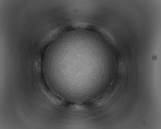 X0000093610498200710221610