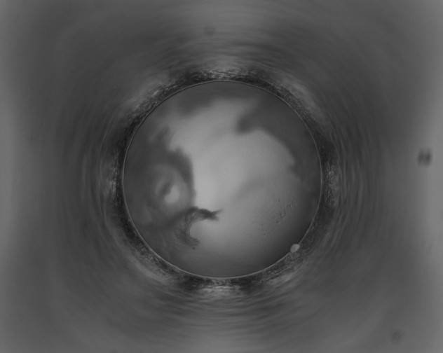 X0000093610499200710221610